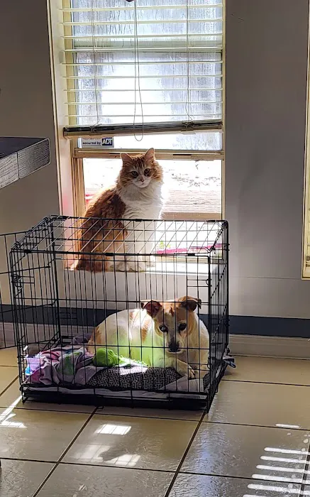 Buna Animal Hospital Picture 8