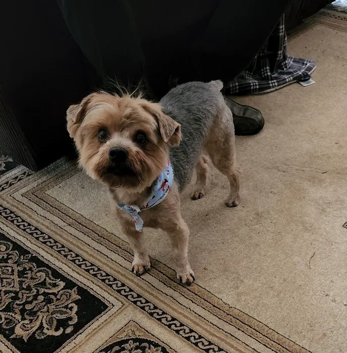 Ceglinski Animal Clinic Picture 2