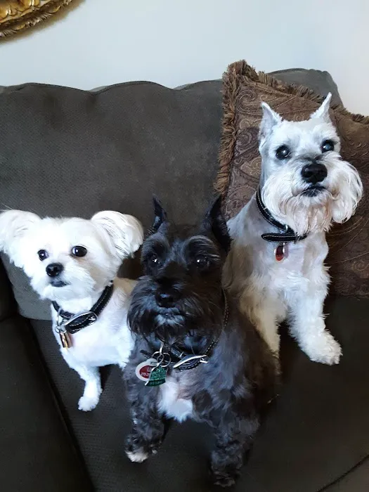 Ceglinski Animal Clinic Picture 1