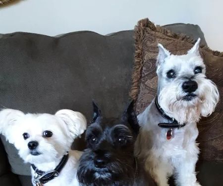 Ceglinski Animal Clinic