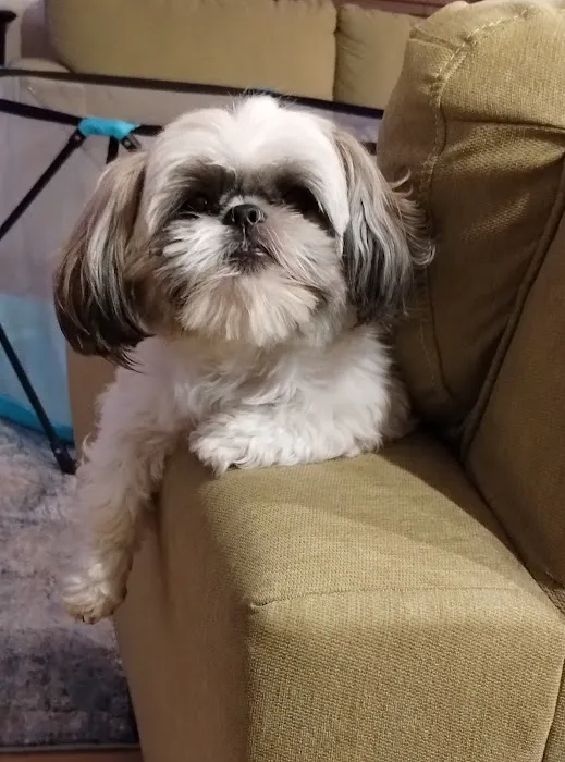 Ceglinski Animal Clinic Picture 7