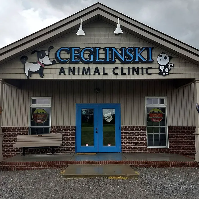 Ceglinski Animal Clinic Picture 10