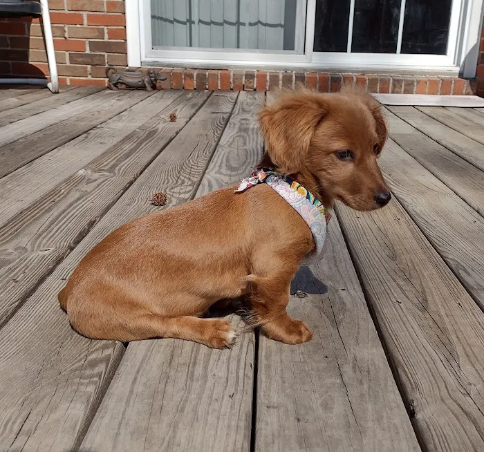 Veterinary Medical Center Picture 1