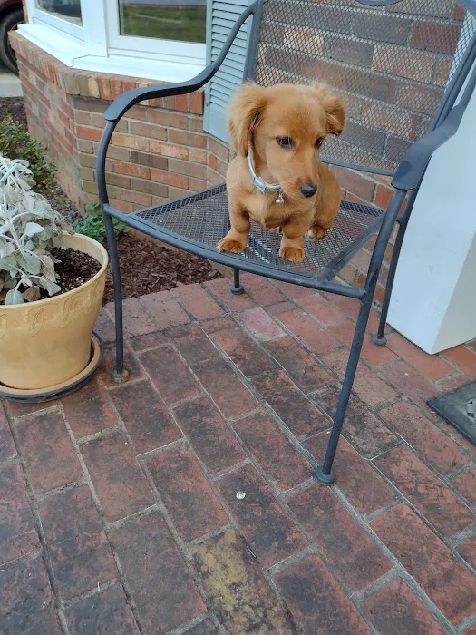 Veterinary Medical Center Picture 2