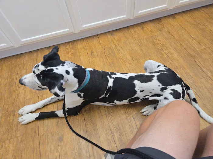 Veterinary Medical Center Picture 4