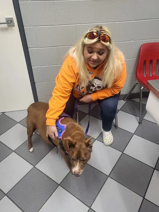 Veterinary Medical Center Picture 5