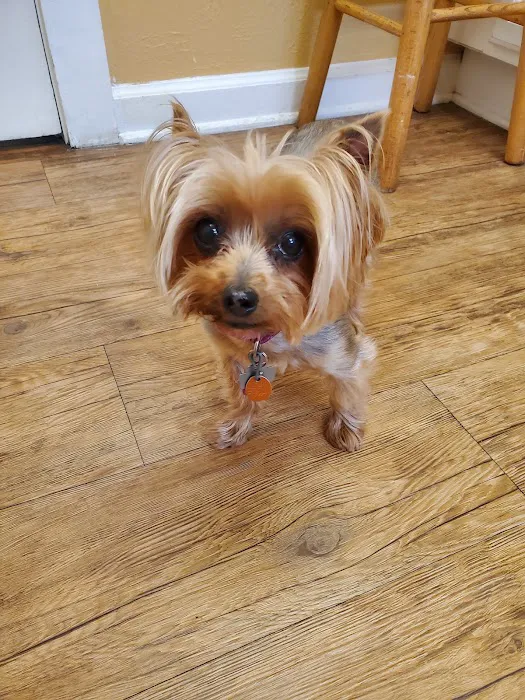 Veterinary Medical Center Picture 8