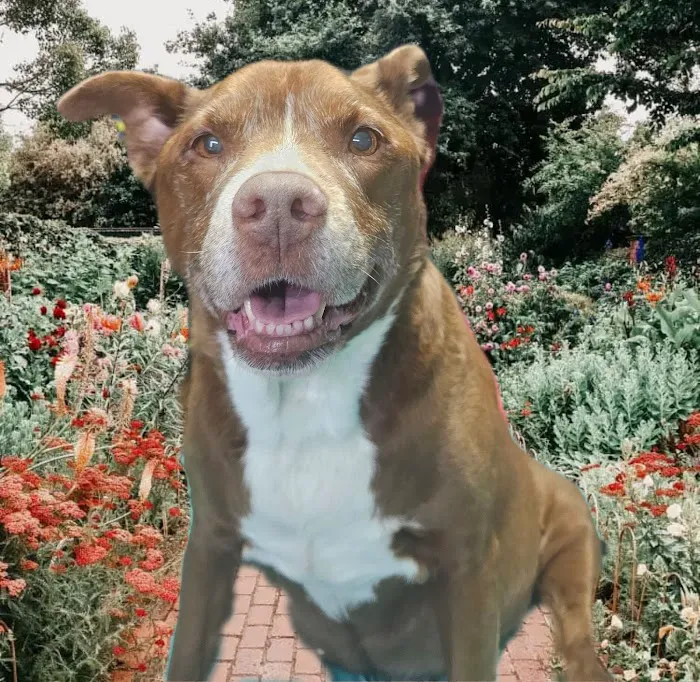 Veterinary Medical Center Picture 9