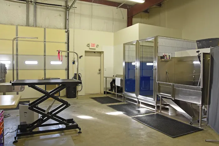 Veterinary Institute of Paducah Picture 1