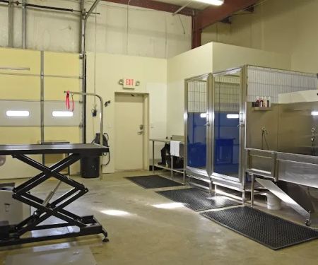 Veterinary Institute of Paducah