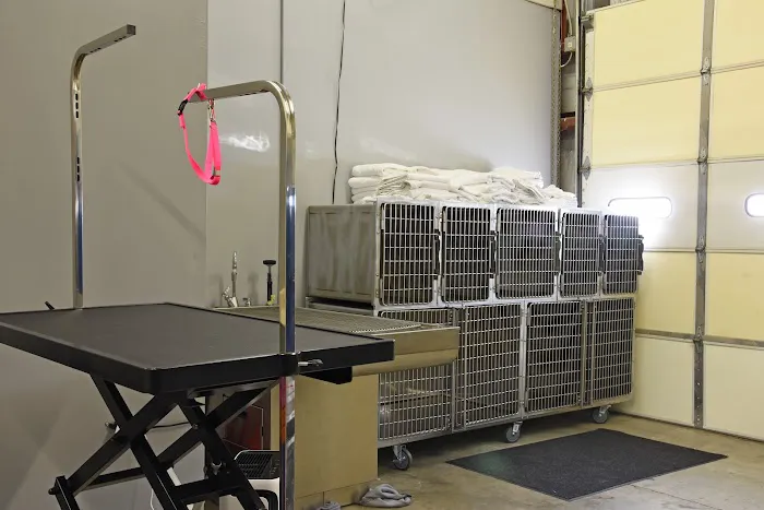 Veterinary Institute of Paducah Picture 2