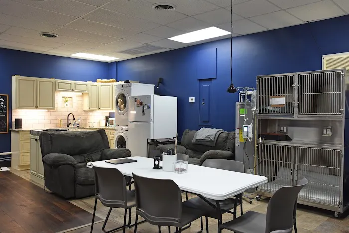 Veterinary Institute of Paducah Picture 6