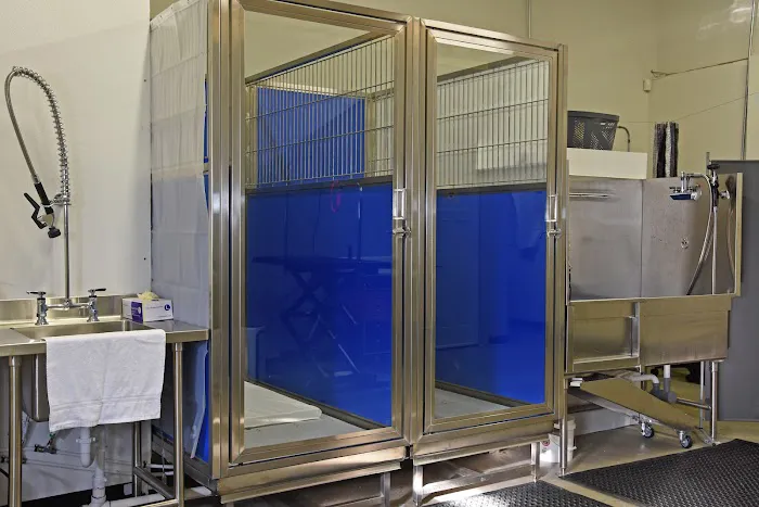 Veterinary Institute of Paducah Picture 7