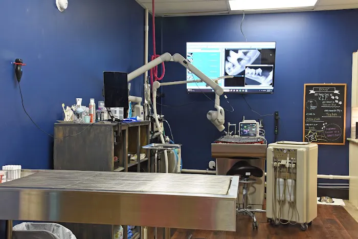 Veterinary Institute of Paducah Picture 10