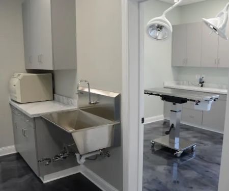 Progressive Animal Healthcare