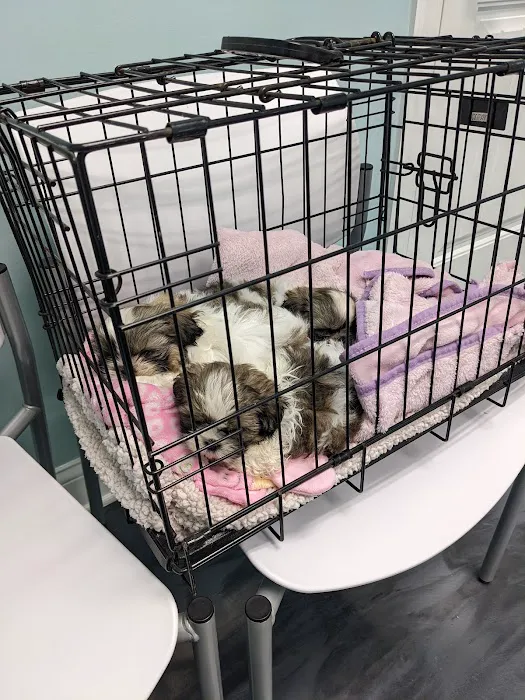 Progressive Animal Healthcare Picture 5