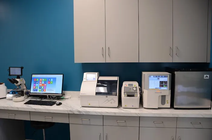 Progressive Animal Healthcare Picture 2