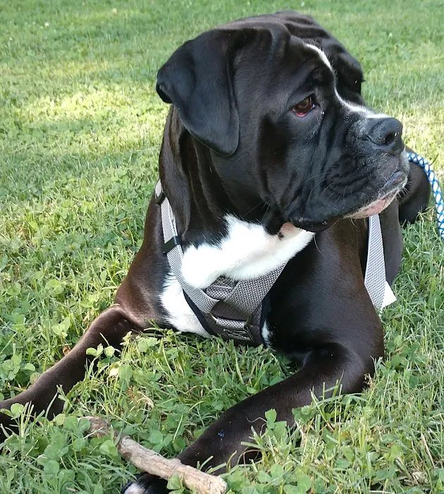 Heartland Veterinary Hospital Picture 3