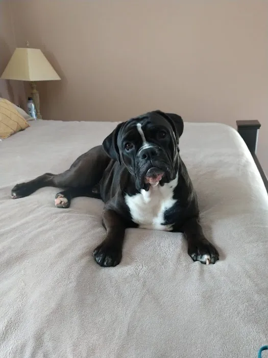 Heartland Veterinary Hospital Picture 1