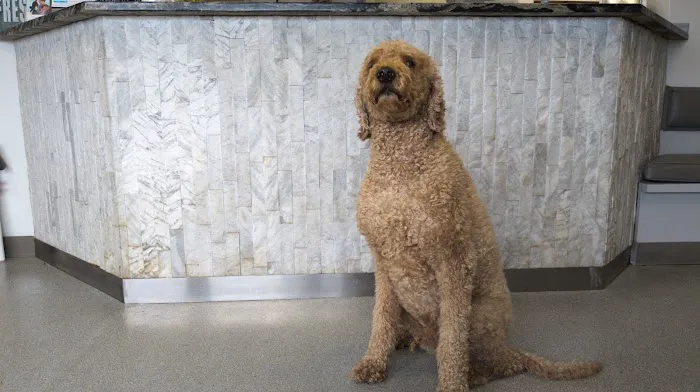 Heartland Veterinary Hospital Picture 2