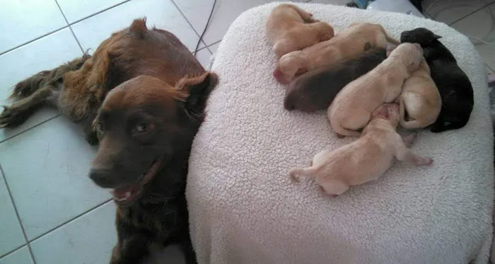 Heartland Veterinary Hospital Picture 6