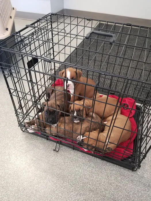 Heartland Veterinary Hospital Picture 9