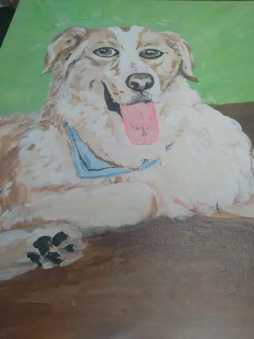 Bluegrass Animal Healthcare Picture 1