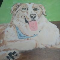 Bluegrass Animal Healthcare ico