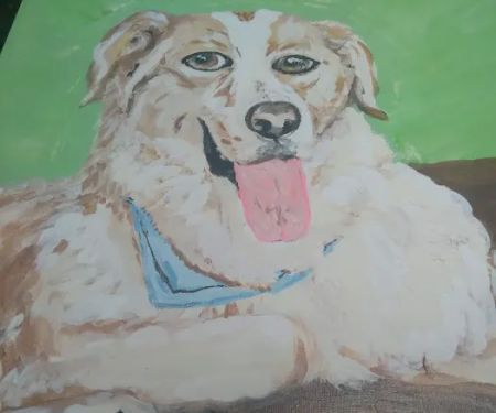 Bluegrass Animal Healthcare