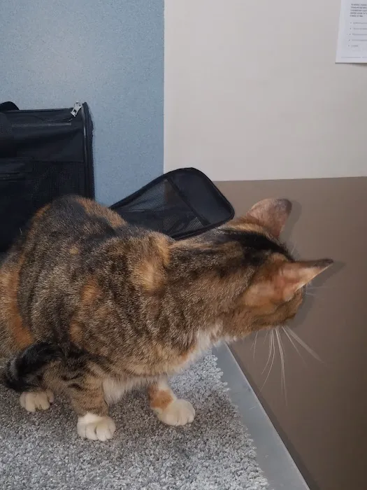 Bluegrass Animal Healthcare Picture 5