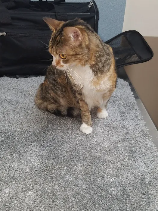 Bluegrass Animal Healthcare Picture 7