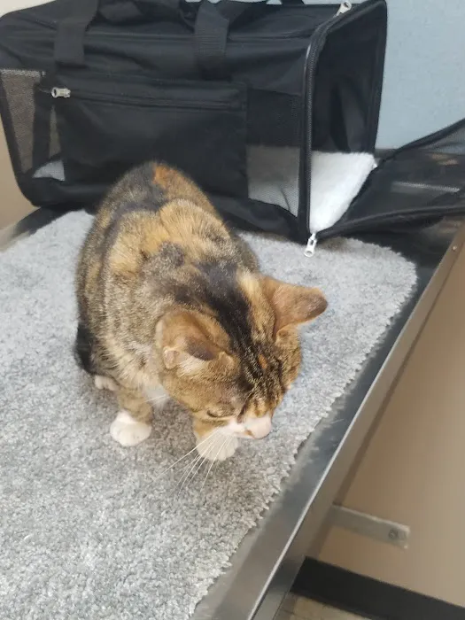 Bluegrass Animal Healthcare Picture 6