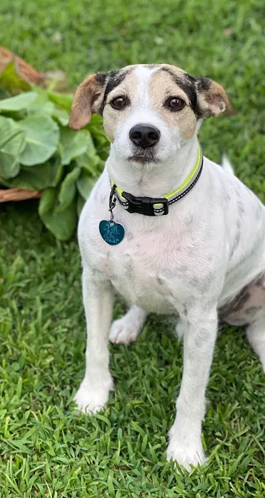 Animal Medical Center of Mayfield Picture 3