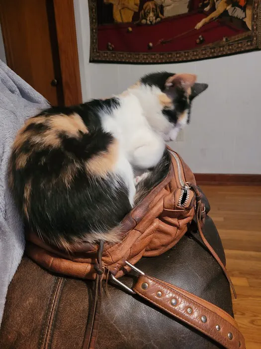 Animal Medical Center of Mayfield Picture 1