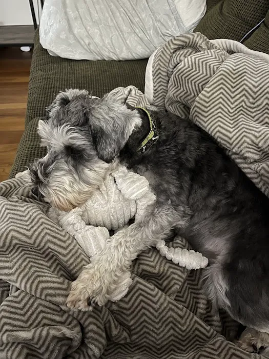 Animal Medical Center of Mayfield Picture 6