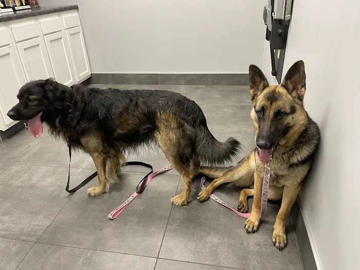 Animal Medical Center of Mayfield Picture 7