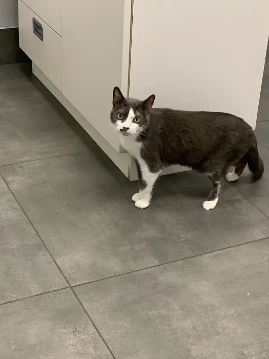 Animal Medical Center of Mayfield Picture 4