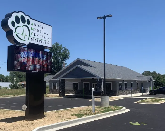 Animal Medical Center of Mayfield Picture 10