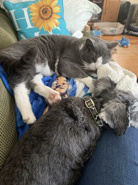 Animal Medical Center of Mayfield Picture 8