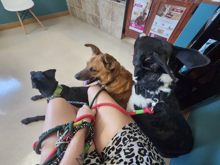 River's Edge Veterinary Hospital Picture 4