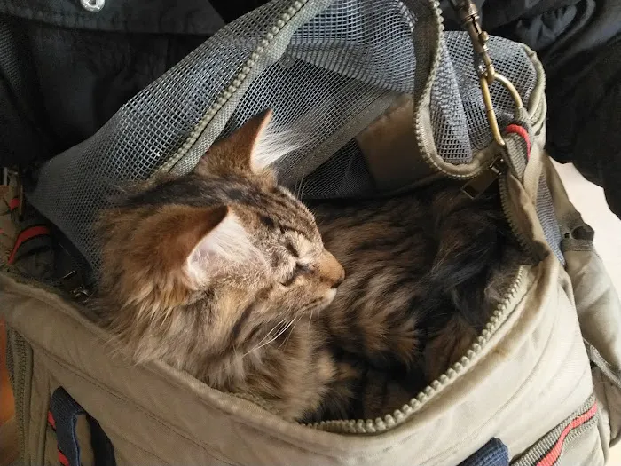 River's Edge Veterinary Hospital Picture 2