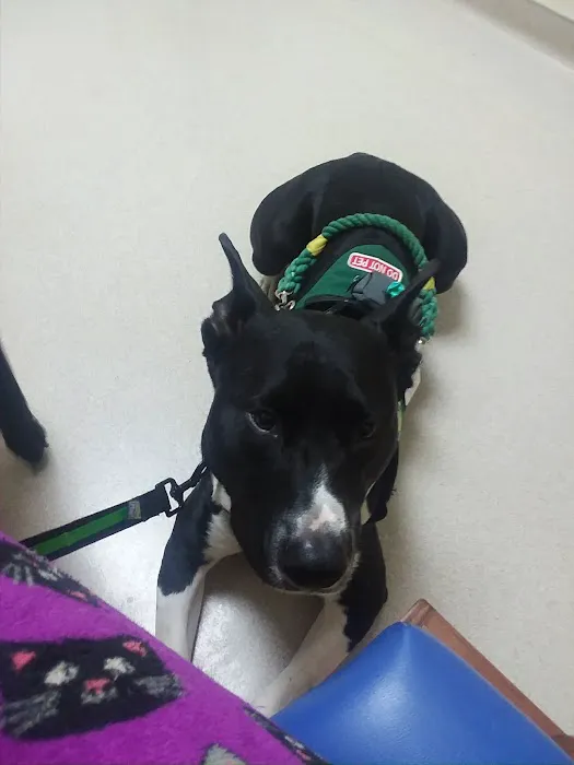 River's Edge Veterinary Hospital Picture 3