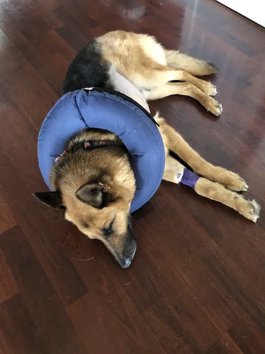 River's Edge Veterinary Hospital Picture 6