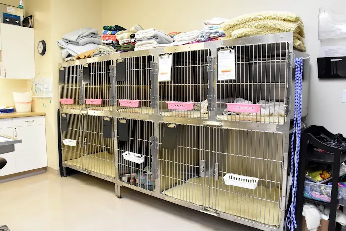 River's Edge Veterinary Hospital Picture 8