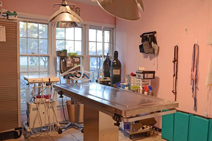 Metropolis Veterinary Clinic Picture 3