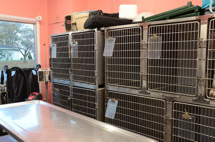 Metropolis Veterinary Clinic Picture 4