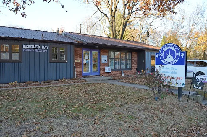 Metropolis Veterinary Clinic Picture 5