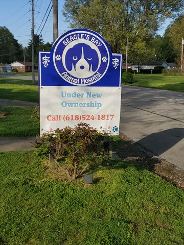 Metropolis Veterinary Clinic Picture 8