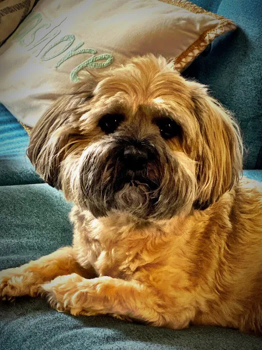 Westside Veterinary Service, LLP Picture 4