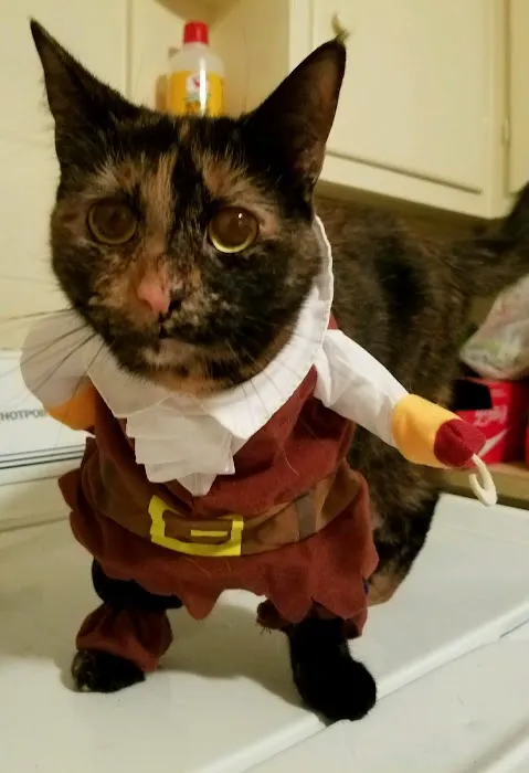 Westside Veterinary Service, LLP Picture 2